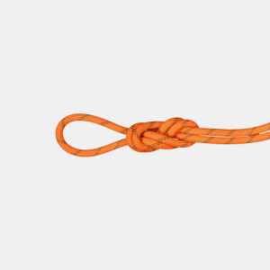 8.0 Alpine Dry Rope (Dry Standard) 70 m
